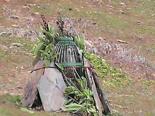 PULPITILLO EN MI SERENE.