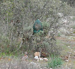 Puesto para recordar