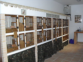 mis terreros de madera