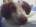 Avatar de vicent